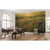 Fototapeta SHX9-071 Poppy World I