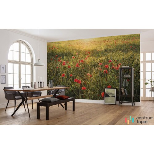 Fototapeta SHX9-071 Poppy World I