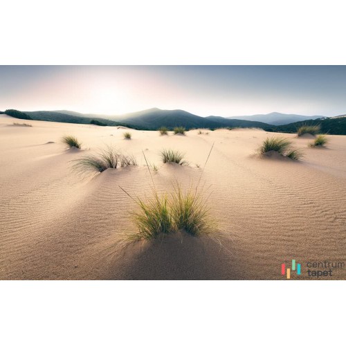 Fototapeta SHX9-091 Vivid Dunes