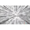 Fototapeta SHX9-093 Weiss-Blau