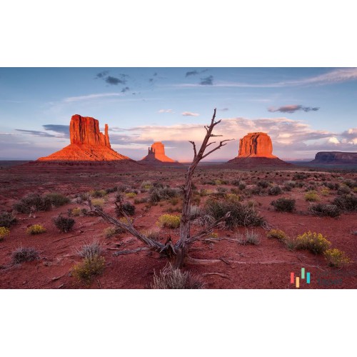 Fototapeta SHX9-097 Wild West Heroes