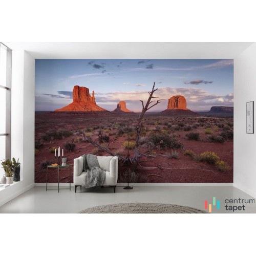 Fototapeta SHX9-097 Wild West Heroes