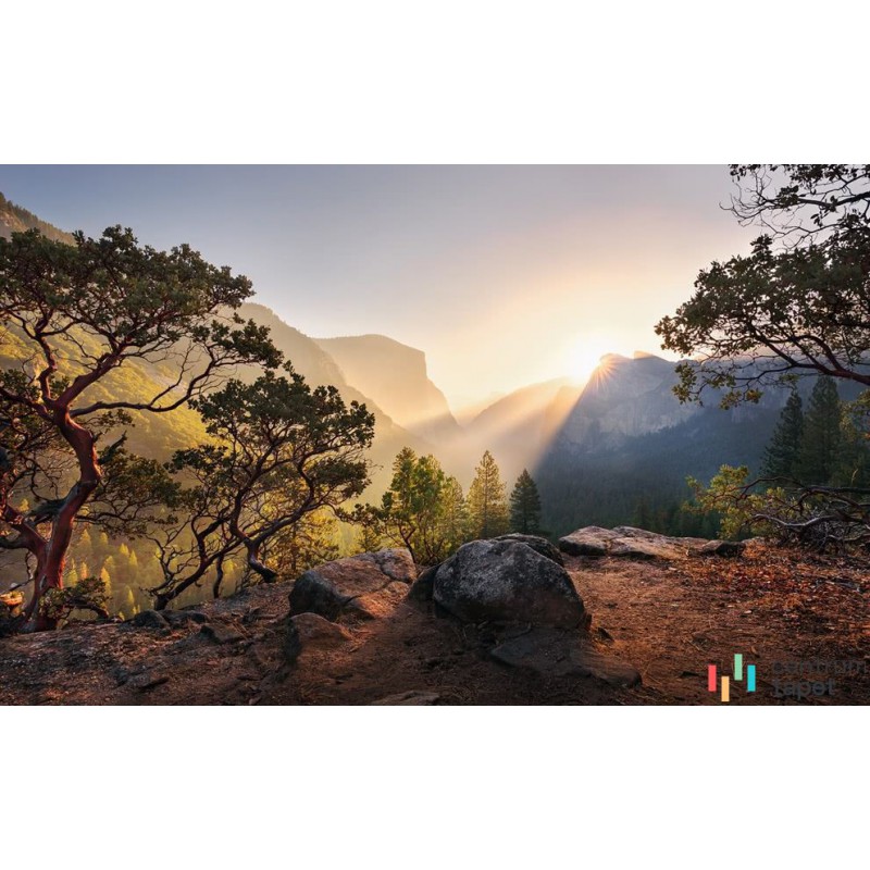 Fototapeta SHX9-101 Yosemites Secret