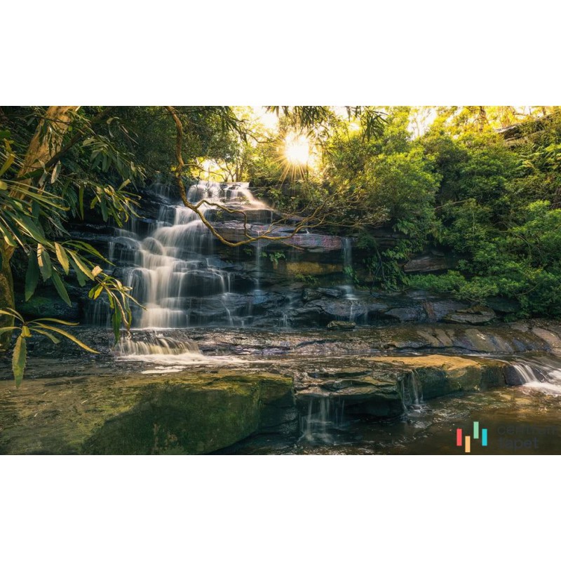 Fototapeta SHX9-131 Golden Falls