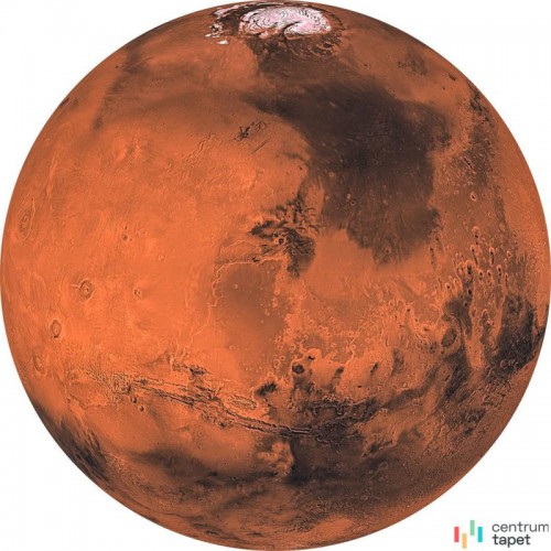 Fototapeta D1-018 Mars