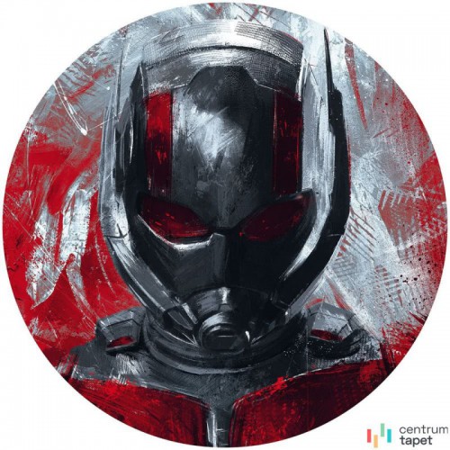 Fototapeta DD1-049 DOT Avengers Painting Ant-Man