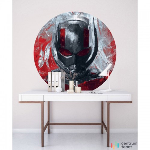 Fototapeta DD1-049 DOT Avengers Painting Ant-Man