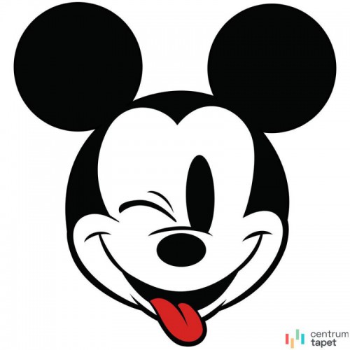 Fototapeta DD1-057 Mickey Head Optimism