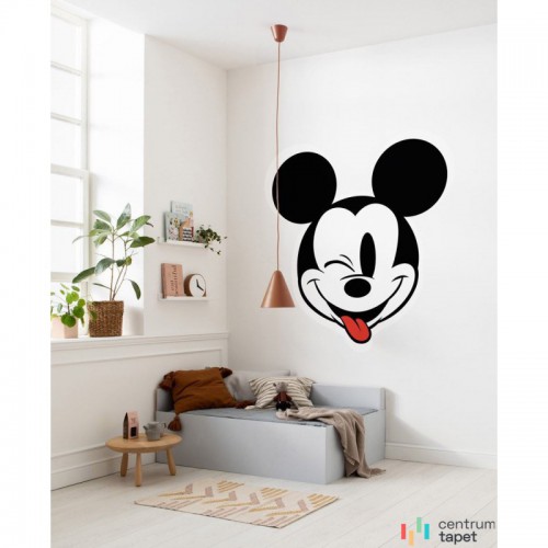 Fototapeta DD1-057 Mickey Head Optimism