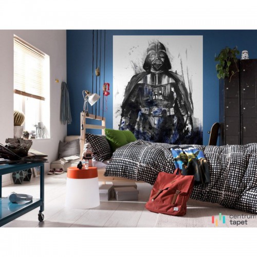 Fototapeta IADX4-017 Star Wars Watercolor Vader