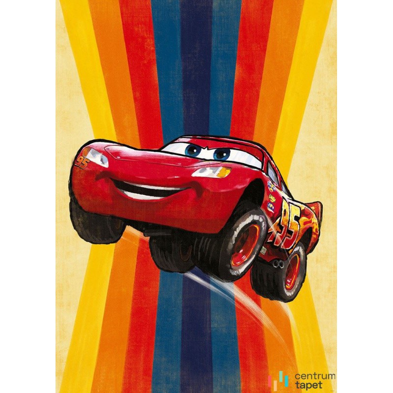 Fototapeta IADX4-055 Cars Jump