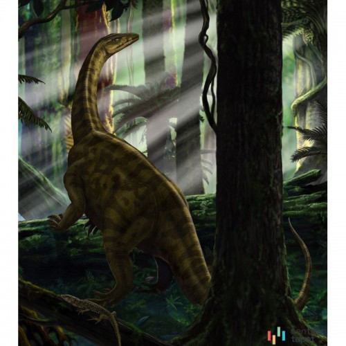 Fototapeta IANGX5-012 Riojasaurus Forest