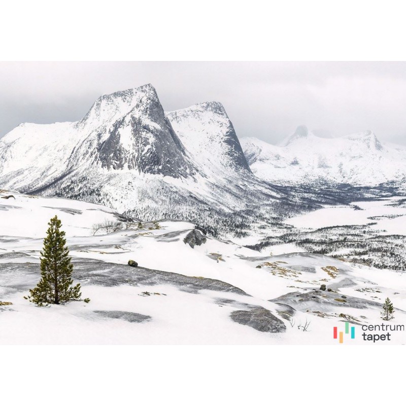 Fototapeta IANGX8-024 White Enchanted Mountains Fototapeta IANGX8-024 White Enchanted Mountains