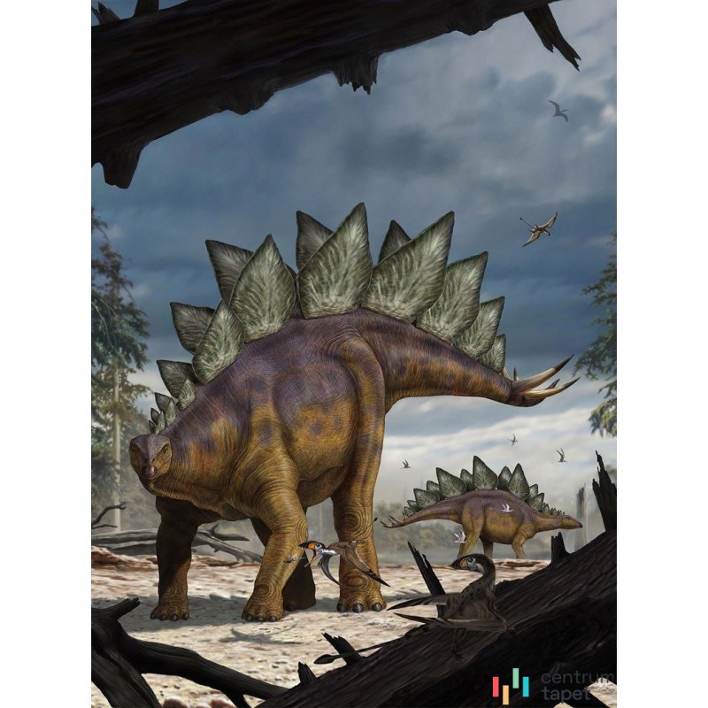 Fototapeta XXL2-530 Stegosaurus