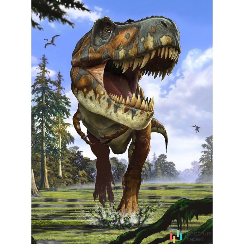 Fototapeta XXL2-532 Tyrannosaurus Rex