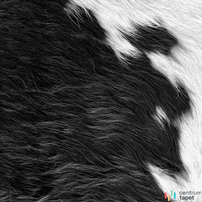 Tapeta 357241 Luxury Skins Origin Tapeta 357241 Luxury Skins Origin