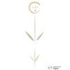 Tapeta Silene001 Polly Dunbar Erica Wakerly