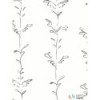 Tapeta Stem002 Polly Dunbar Erica Wakerly