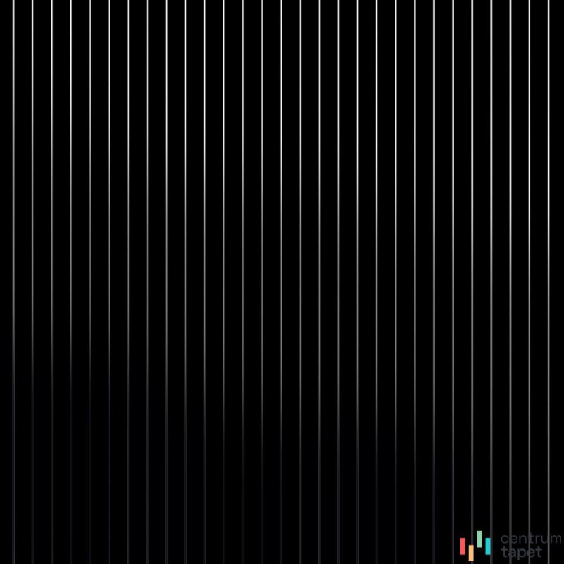 Tapeta Pinstripesilverblack Erica Wakerly Erica Wakerly Tapeta Pinstripesilverblack Erica Wakerly Erica Wakerly