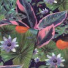 Tapeta 921703 Studio Collection Arthouse