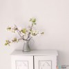 Tapeta G78515 Secret Garden Galerie