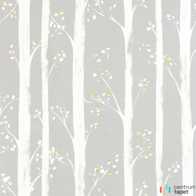 Tapeta 909504 Studio Collection Arthouse Tapeta 909504 Studio Collection Arthouse